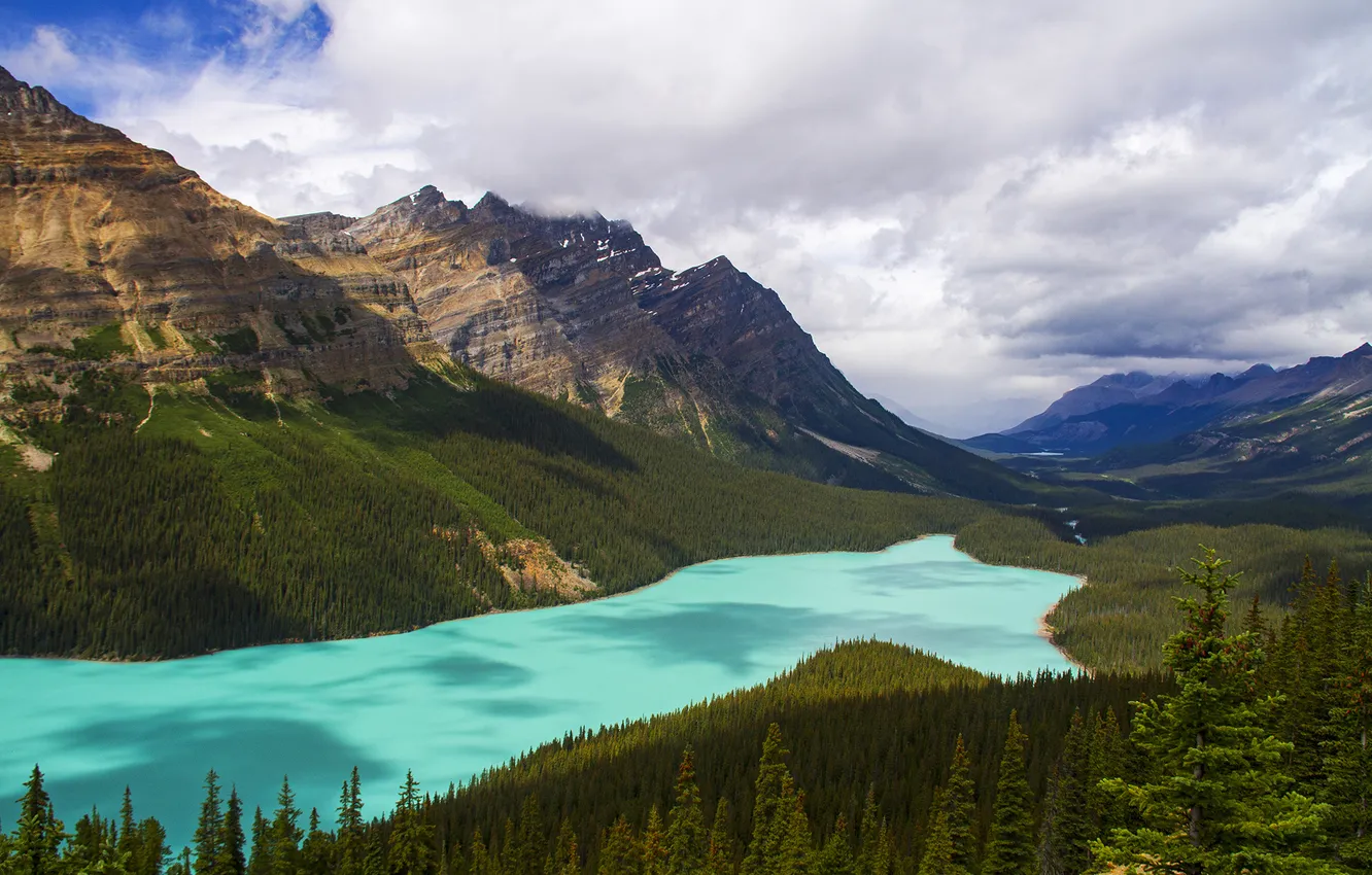 Photo wallpaper forest, trees, mountains, lake, panorama, Alberta, Canada, Banff