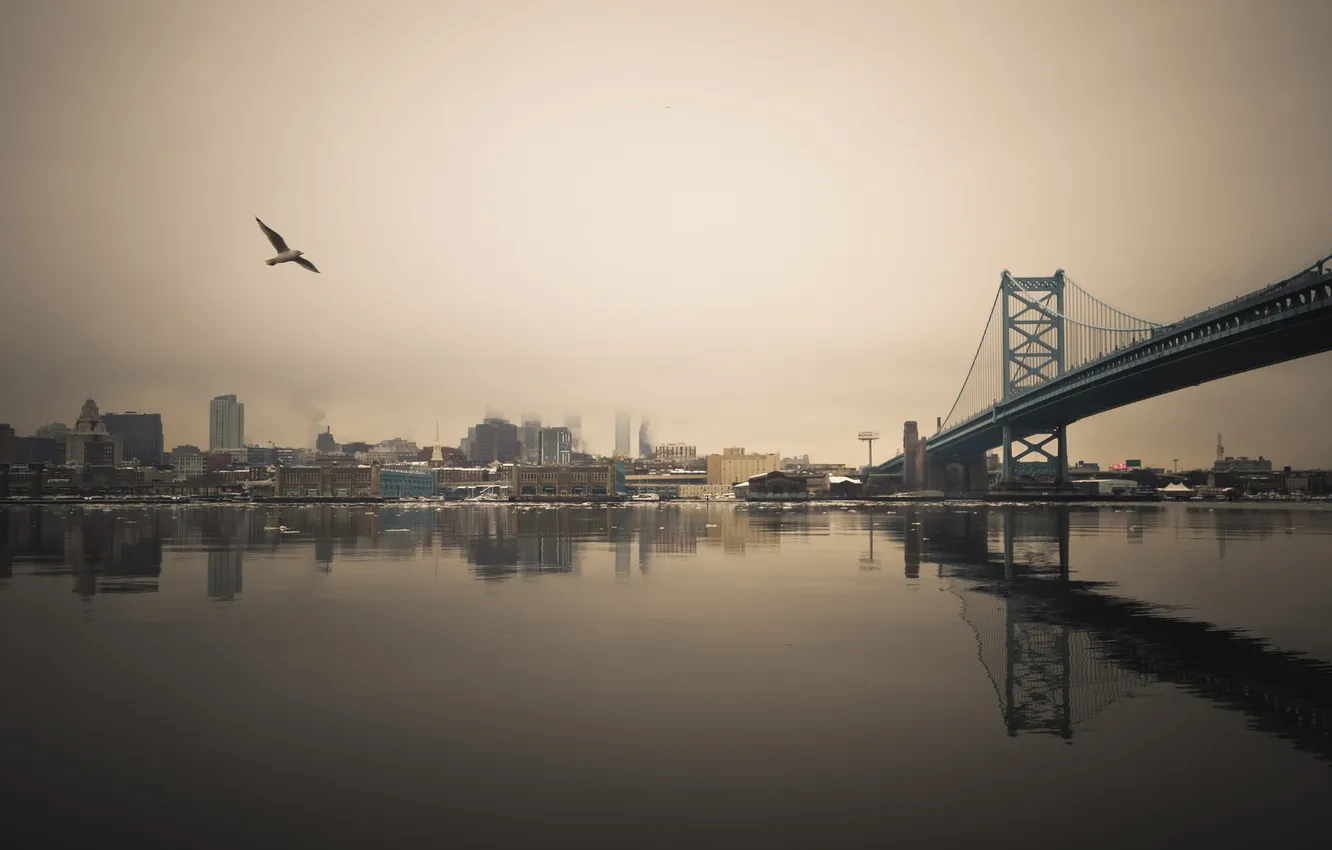 Photo wallpaper ice, winter, bridge, reflection, seagulls, mirror, horizon, Philadelphia