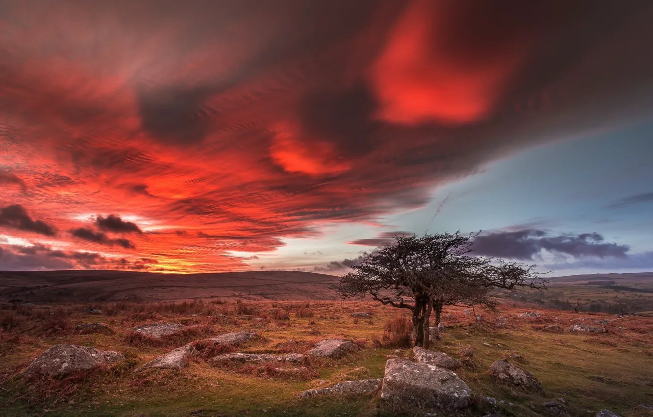 Photo wallpaper England, Dartmoor National Park, Dartmoor