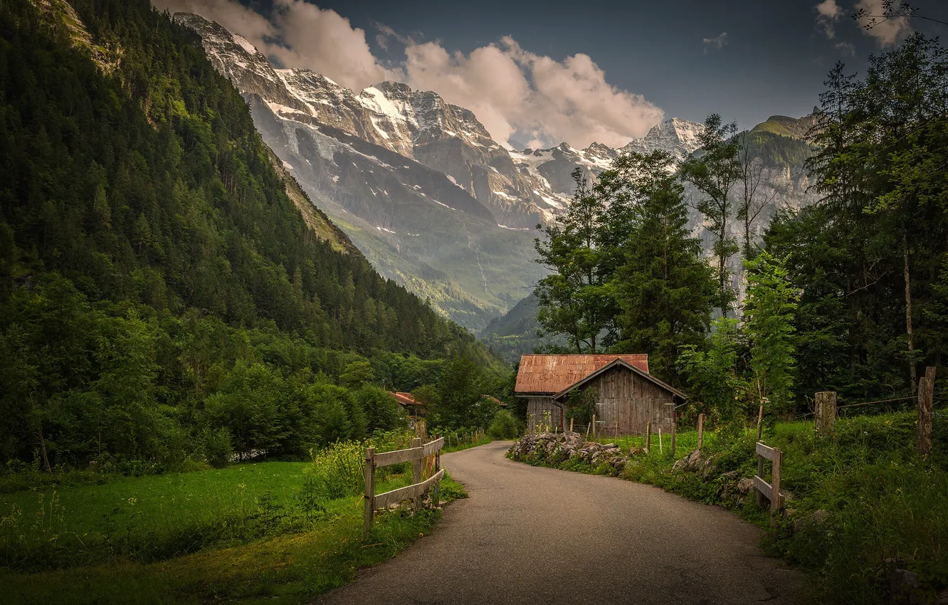 Photo wallpaper road, field, forest, snow, mountains, tops, ate, slope
