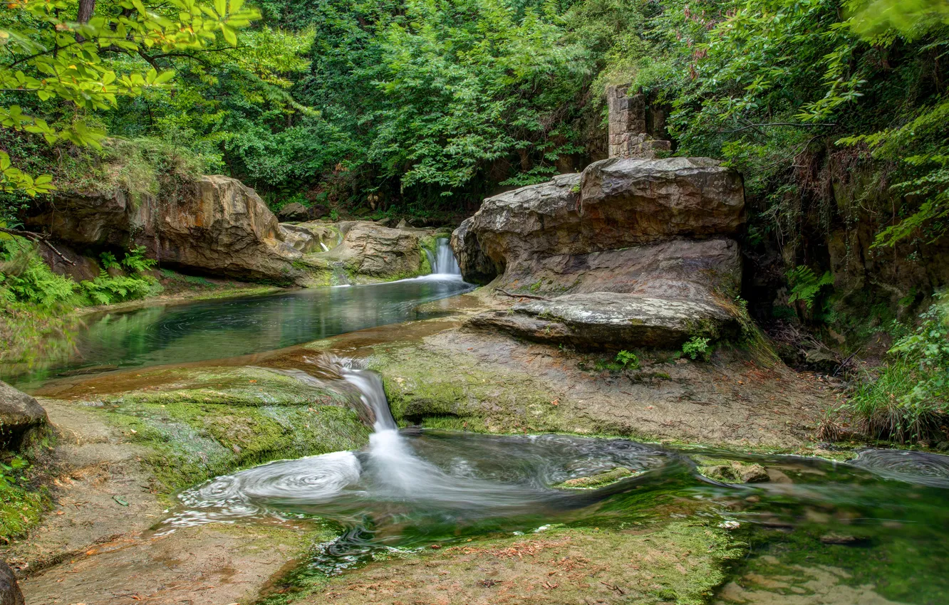 Photo wallpaper forest, stream, stones, rocks, cascade