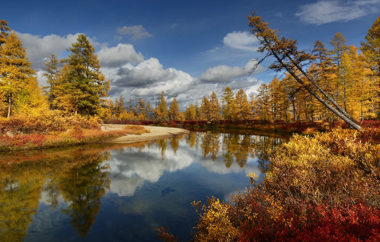 Photo wallpaper autumn, clouds, trees, landscape, nature, river, Bank, Blizzard