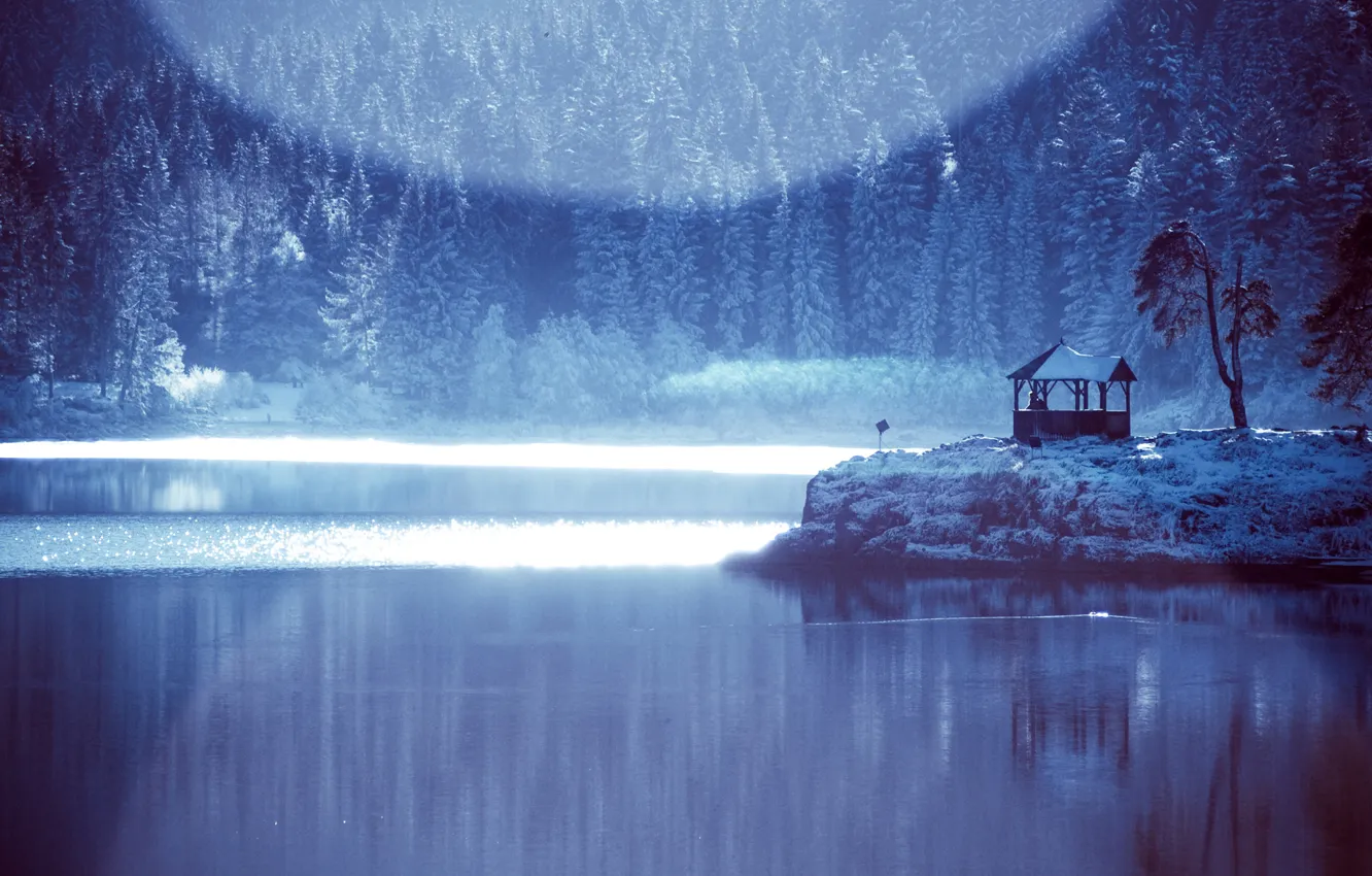 Photo wallpaper winter, forest, lake
