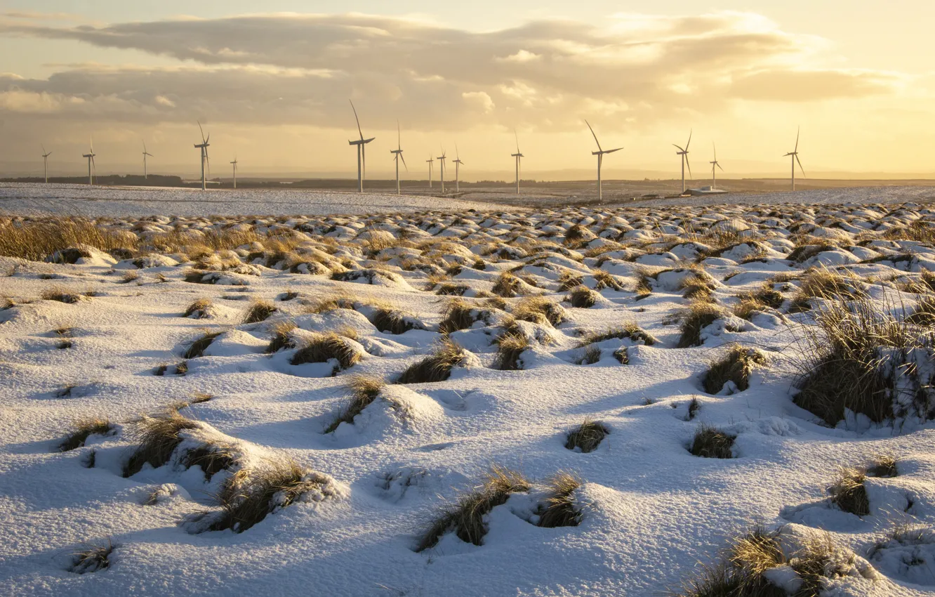 Photo wallpaper field, snow, windmills