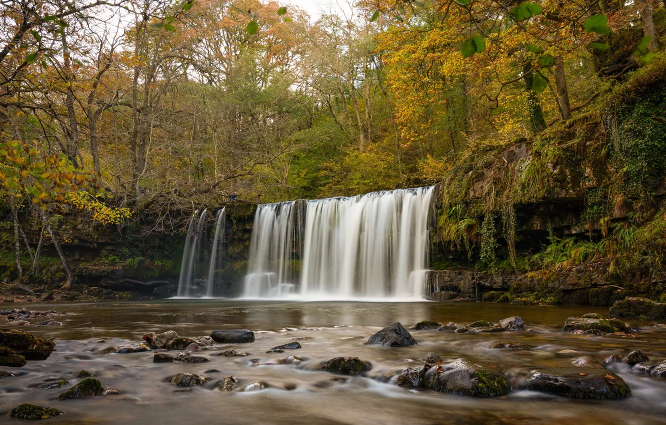 Photo wallpaper autumn, forest, trees, river, England, waterfall, England, Wales