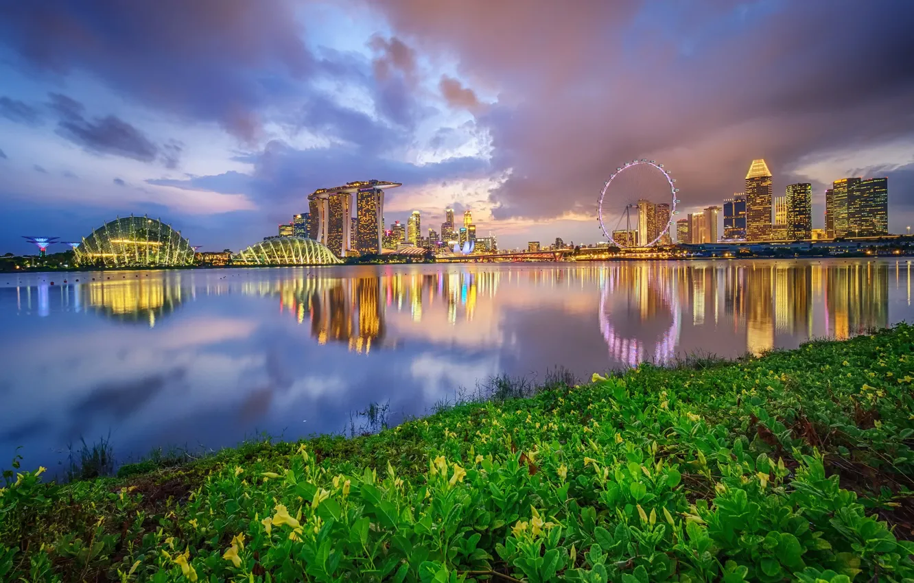 Photo wallpaper the sky, clouds, lights, Park, building, home, the evening, Bay