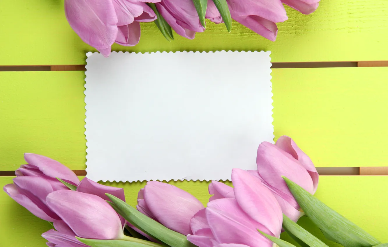 Photo wallpaper flowers, bouquet, tulips, pink, wood, pink, flowers, beautiful