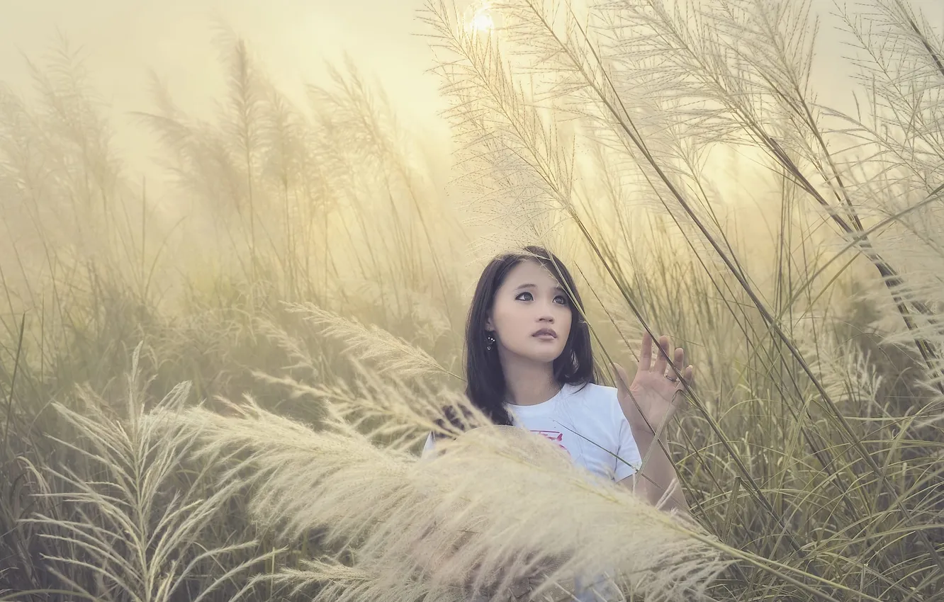 Photo wallpaper China, wallpaper, girl, sexy, woman, model, asian, cute