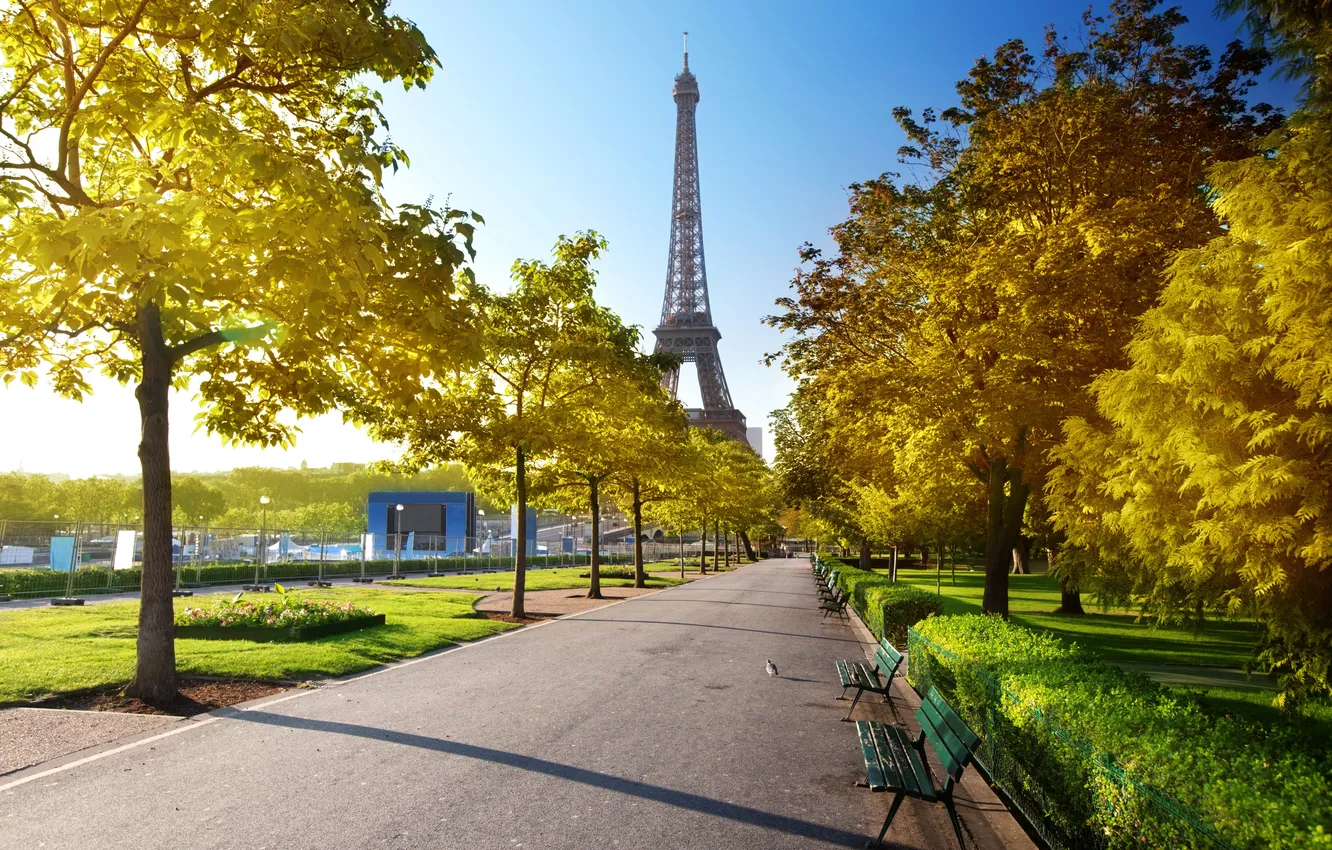 Photo wallpaper road, leaves, trees, Park, France, Paris, yellow, Eiffel tower