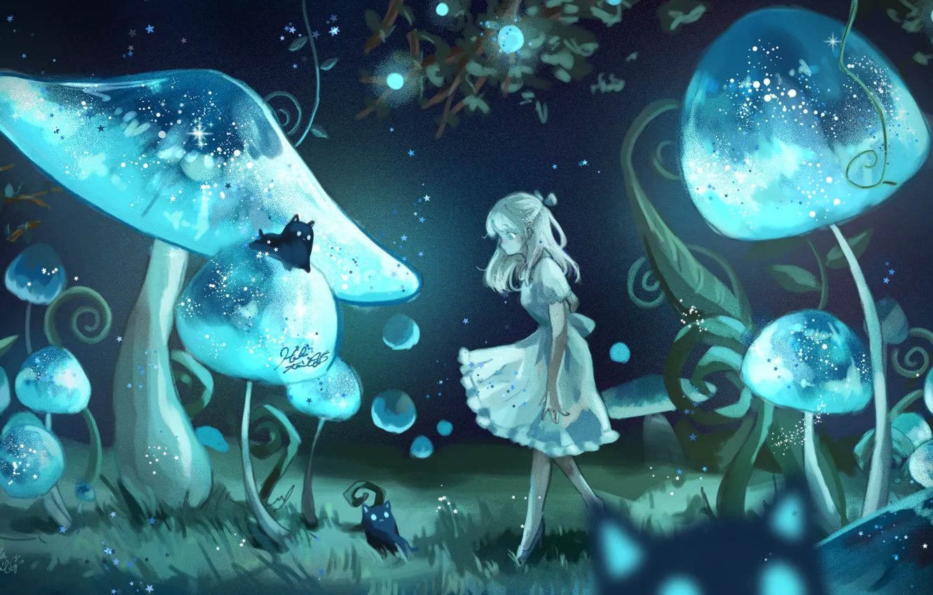 Photo wallpaper girl, cats, night, mushrooms, fantasy