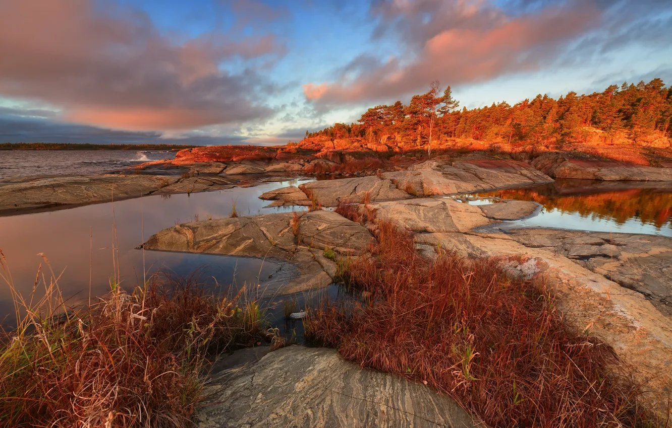 Photo wallpaper autumn, forest, grass, landscape, nature, lake, stones, Lake Ladoga