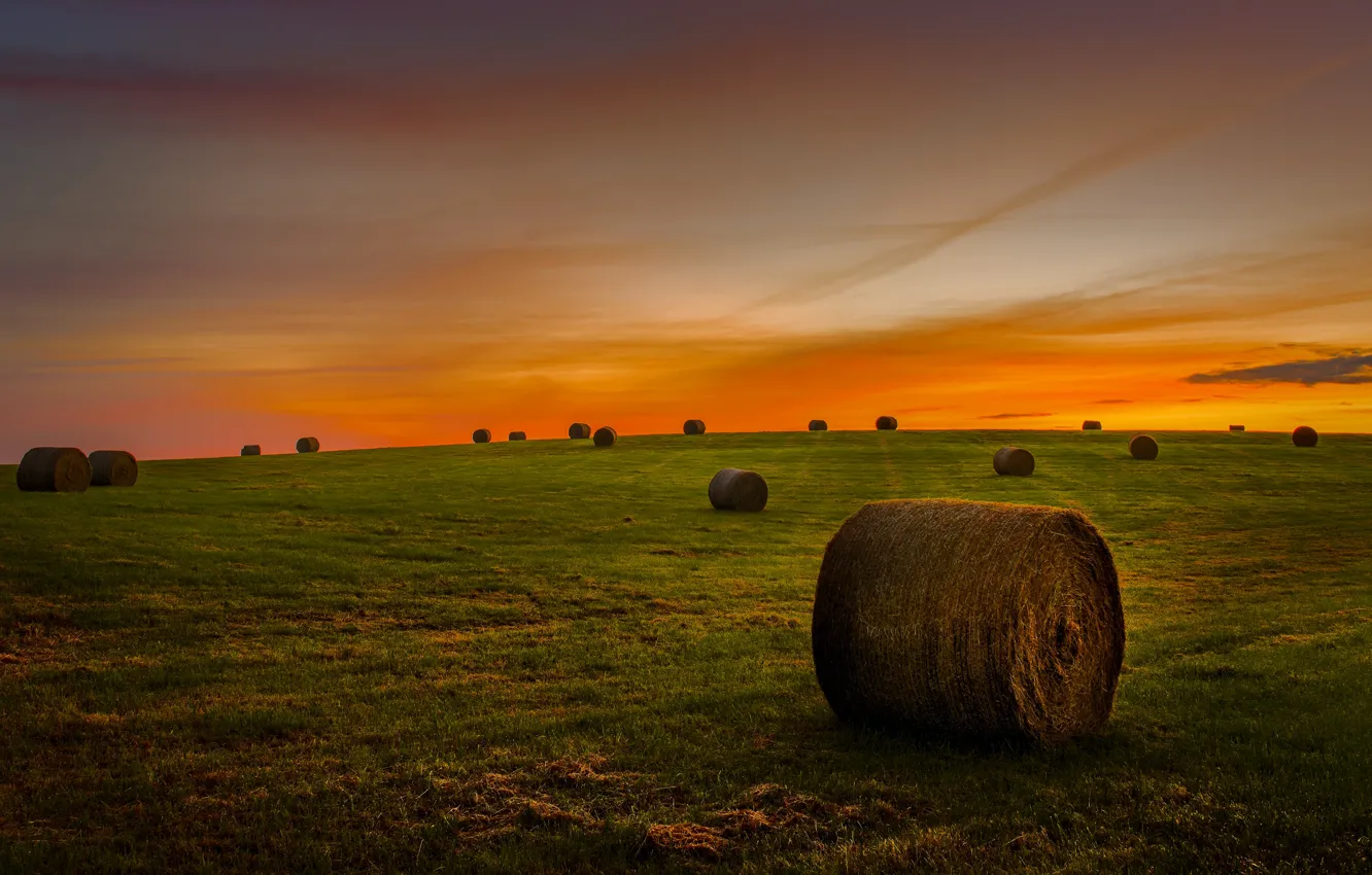 Photo wallpaper field, hay, bales, Kip