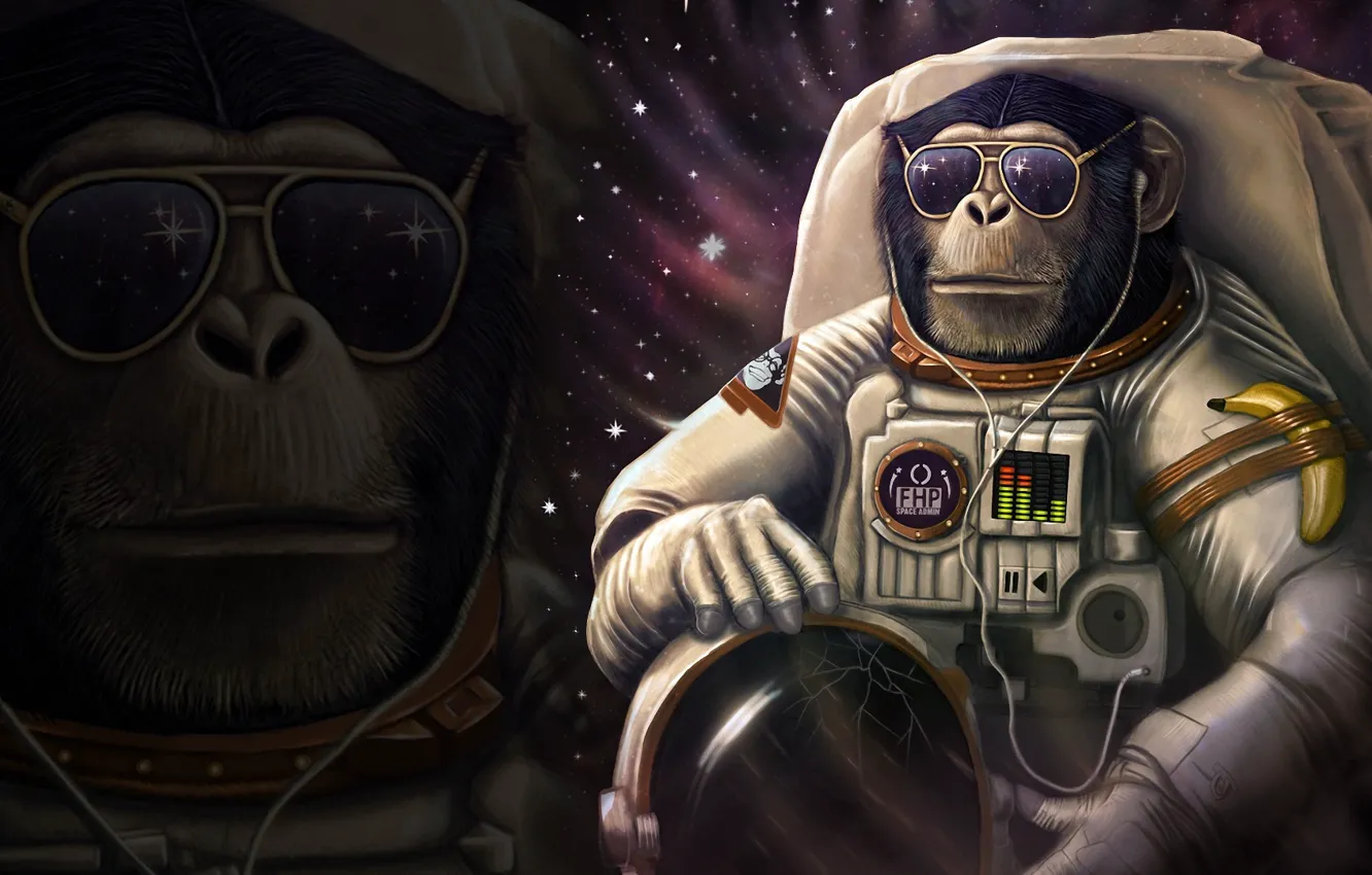 Photo wallpaper cracked, humor, headphones, the suit, glasses, monkey, bananas, helmet
