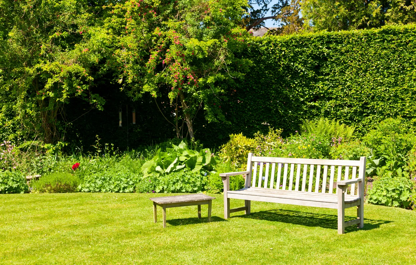 Photo wallpaper greens, grass, bench, Park, shop, the bushes, lawn