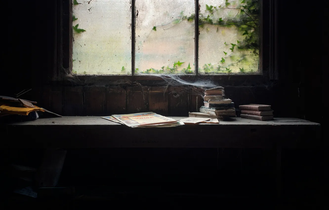 Photo wallpaper books, web, dust, window, naturalism