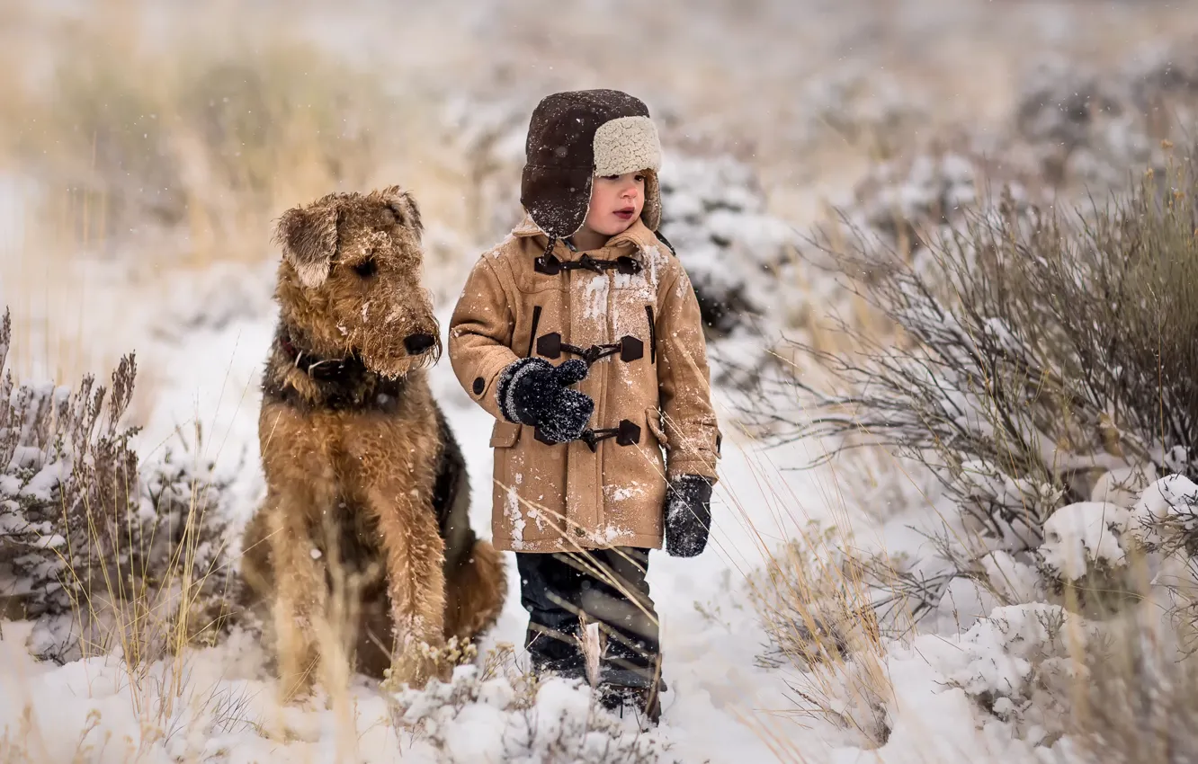 Photo wallpaper snow, each, dog, boy
