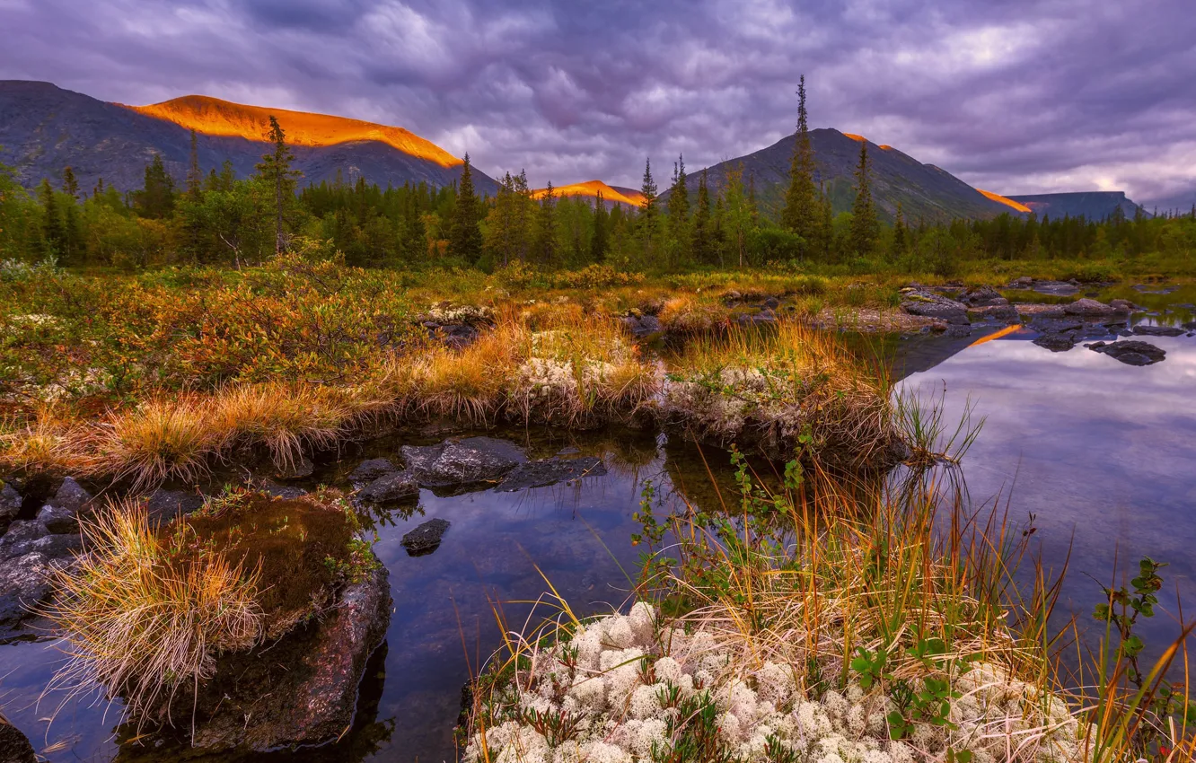 Photo wallpaper water, mountains, clouds, dry grass