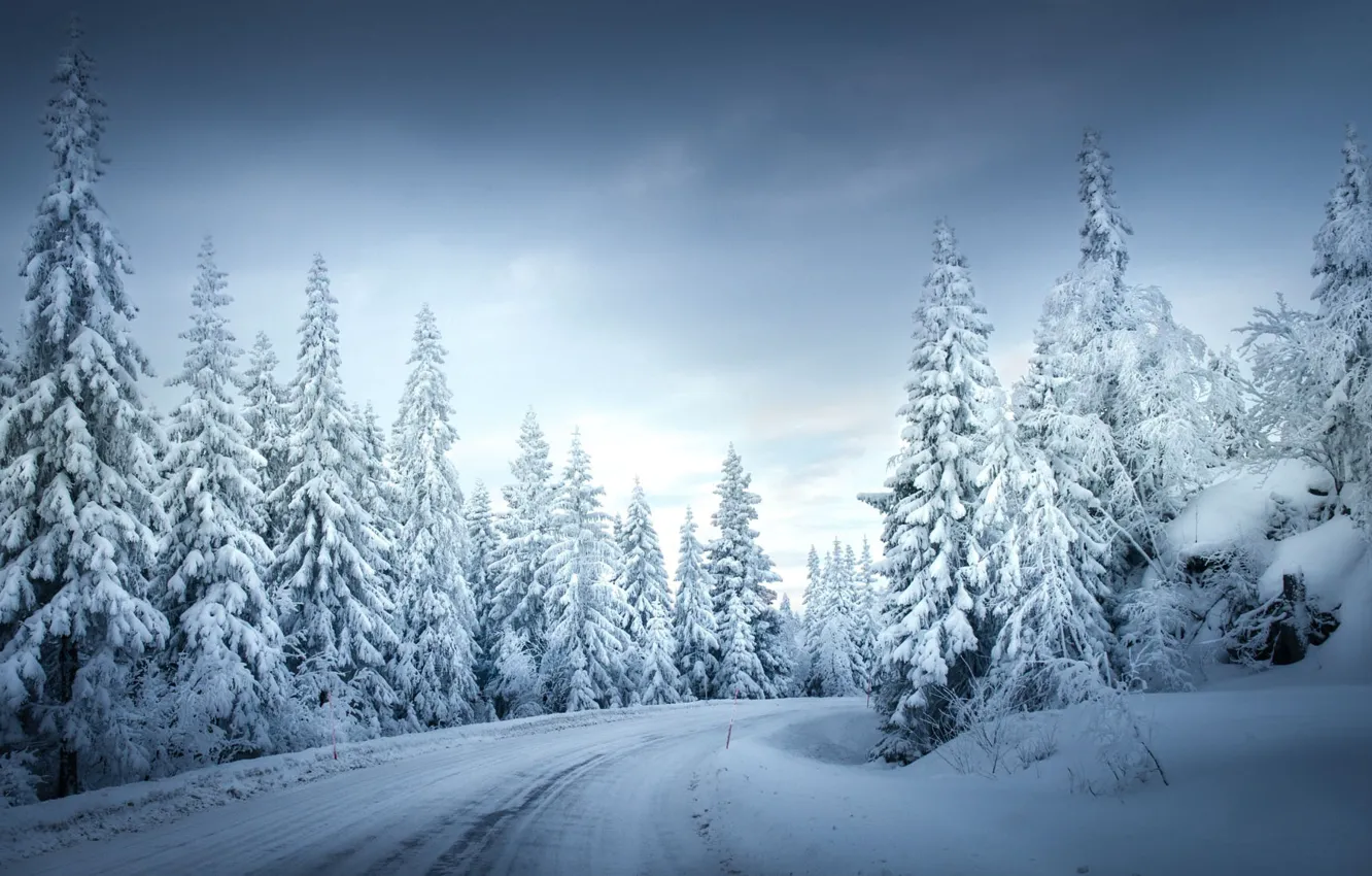 Photo wallpaper winter, road, forest, snow, Sven Olav Vahlenkamp