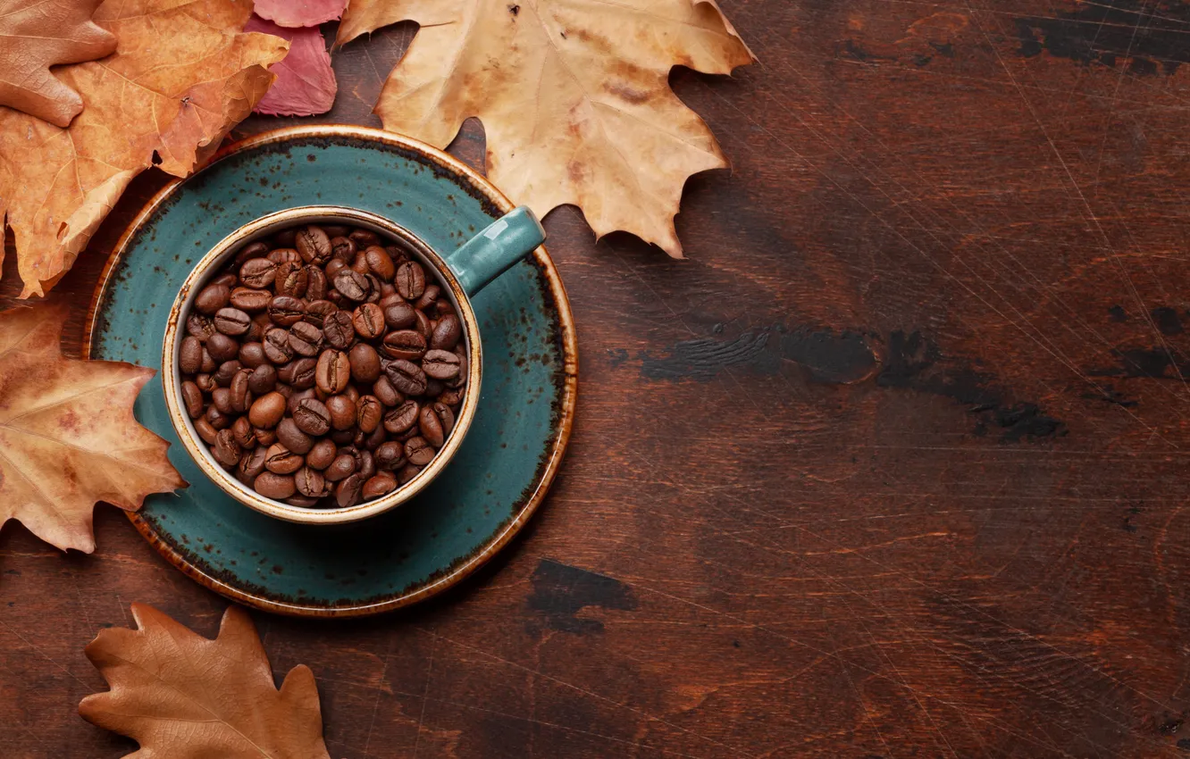 Photo wallpaper autumn, leaves, grain, wood, autumn, leaves, cup, beans