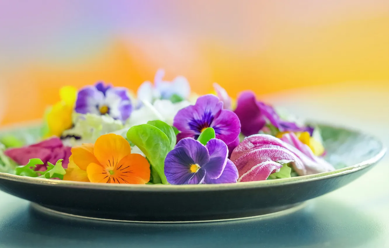 Photo wallpaper flowers, background, plate