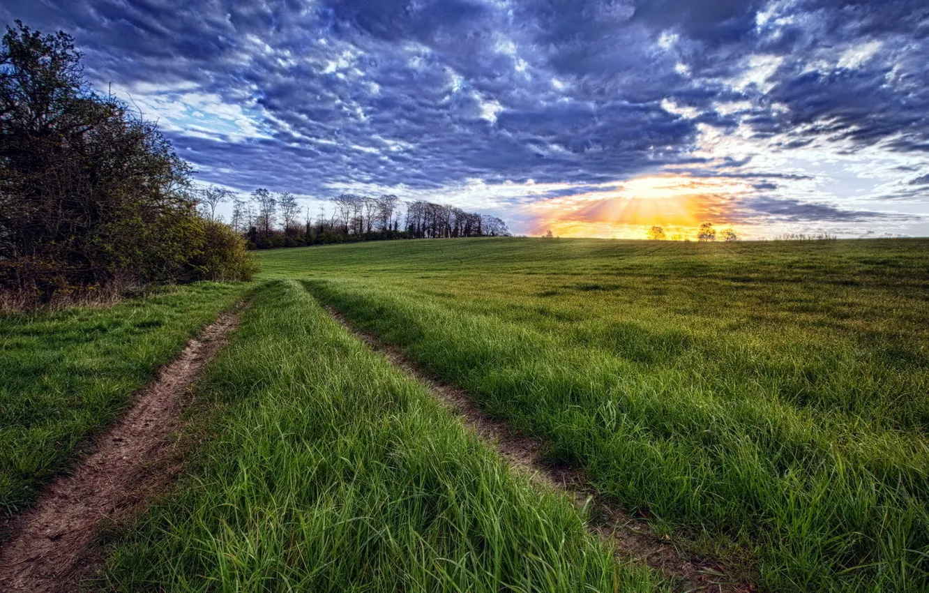 Photo wallpaper road, grass, the sun, clouds, sunset, horizon