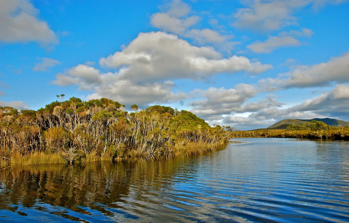 Photo wallpaper autumn, forest, the sky, clouds, trees, lake