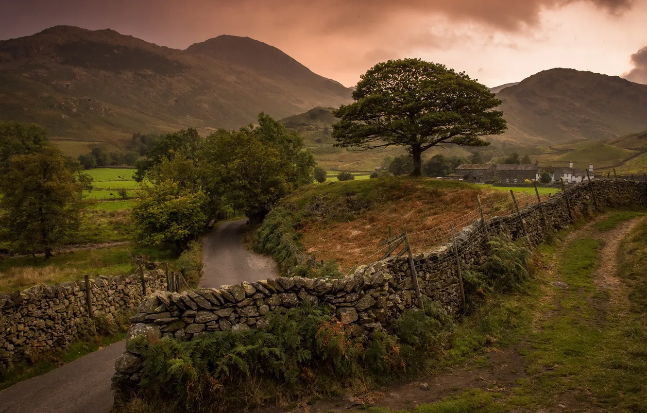 Photo wallpaper trees, mountains, stones, the fence