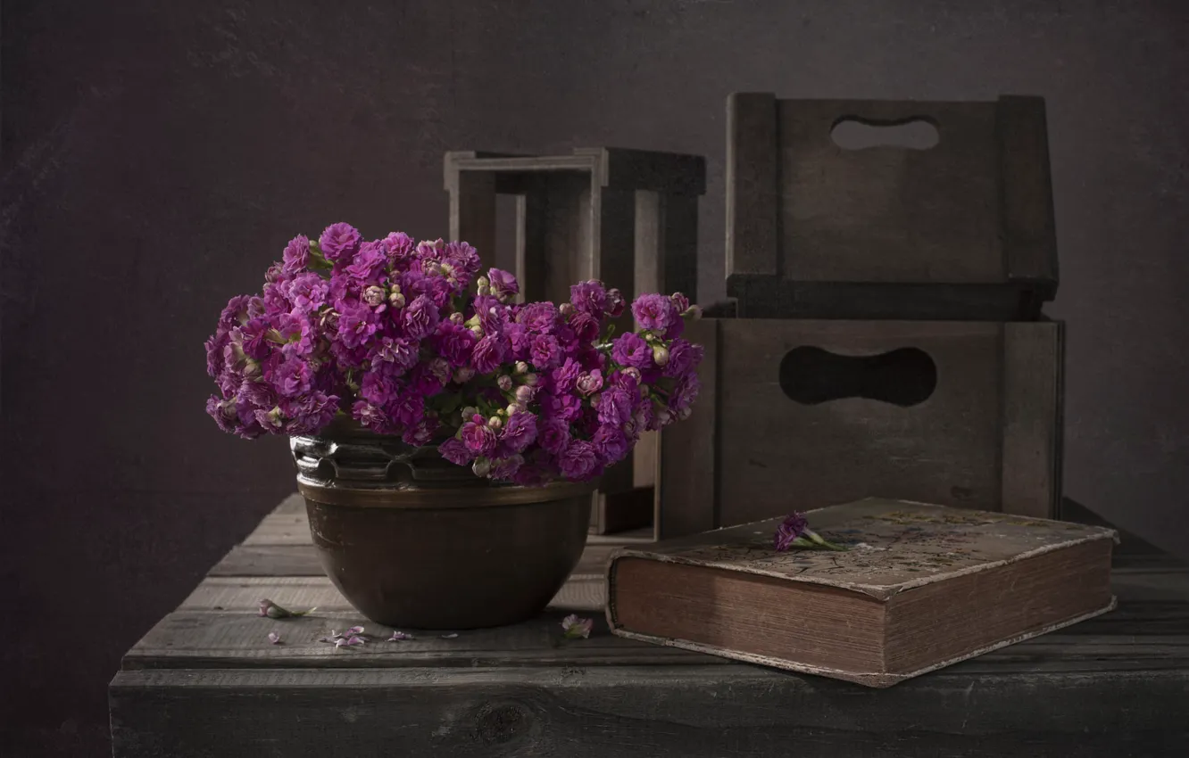 Photo wallpaper flowers, the dark background, Board, bouquet, pot, book, boxes, pink