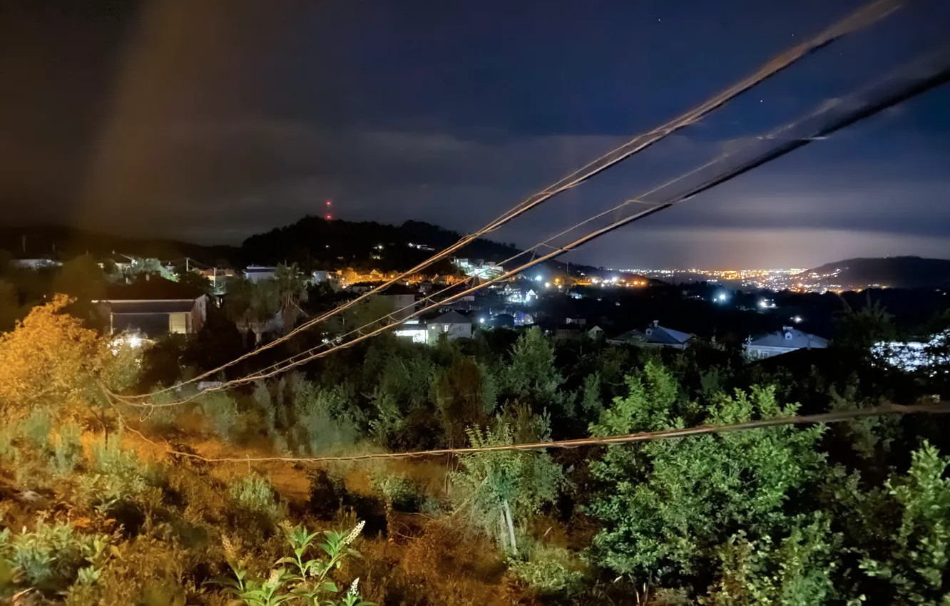 Photo wallpaper sea, greens, forest, the sky, grass, stars, clouds, light