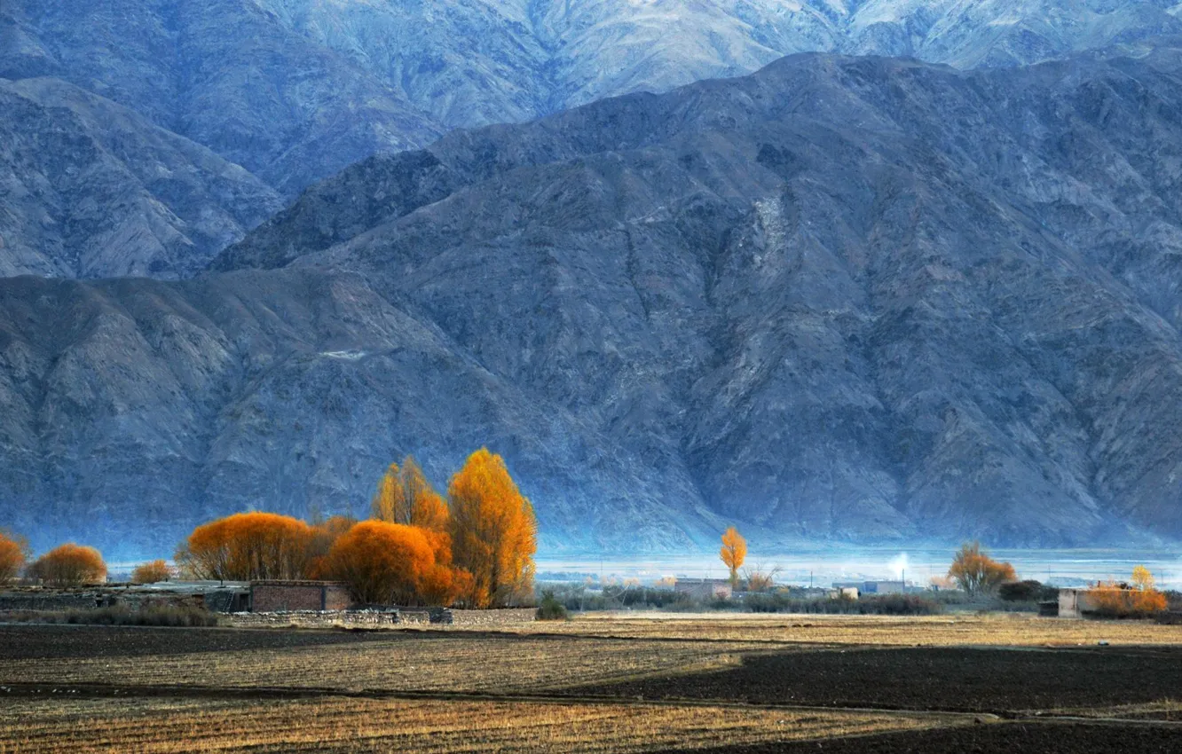 Photo wallpaper autumn, trees, mountains, Pamir
