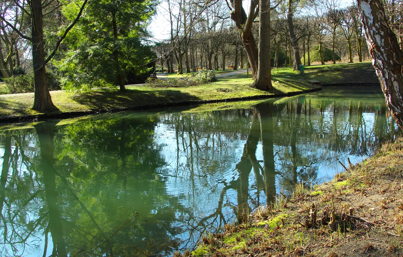 Photo wallpaper water, park, lake, pond