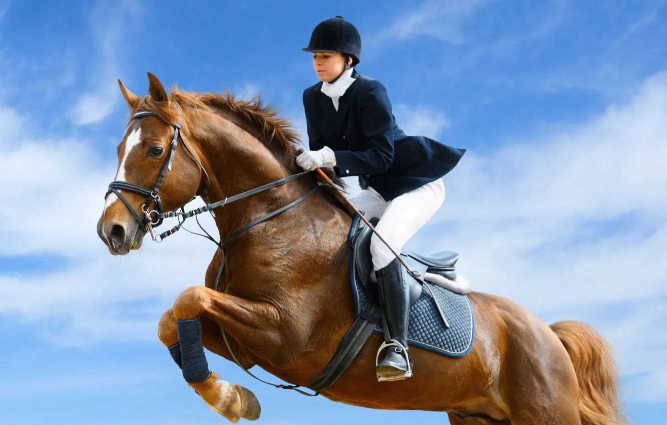Photo wallpaper sport, girl, horse