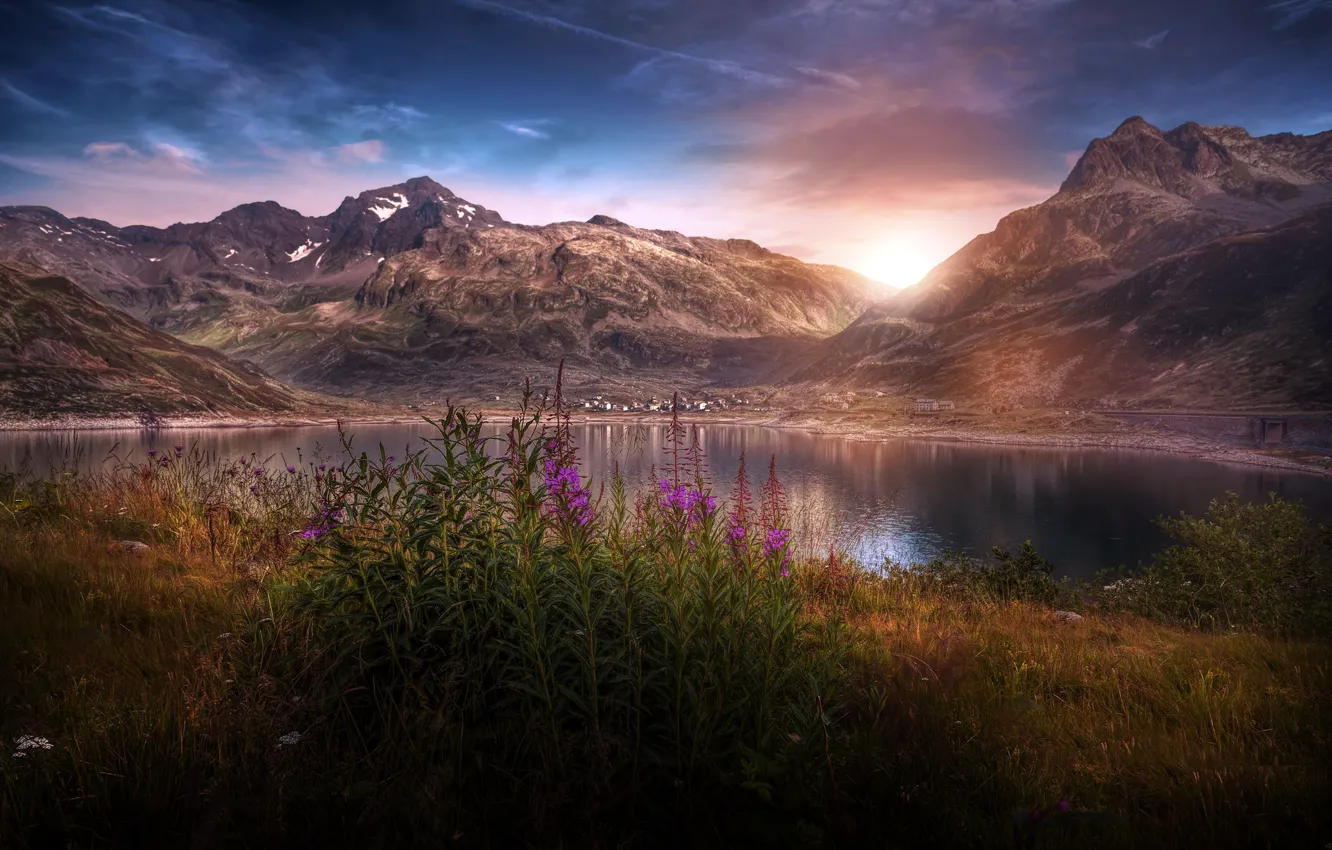 Photo wallpaper flowers, mountains, nature, lake