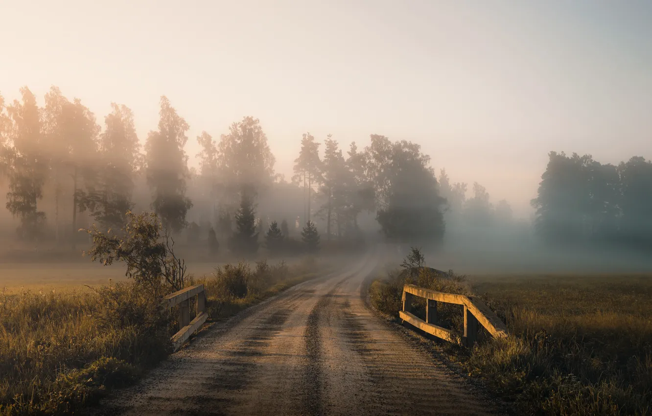 Photo wallpaper road, autumn, fog, morning