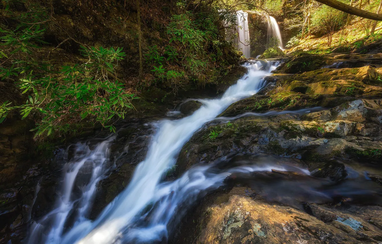 Photo wallpaper leaves, light, branches, stones, rocks, for, waterfall, stream