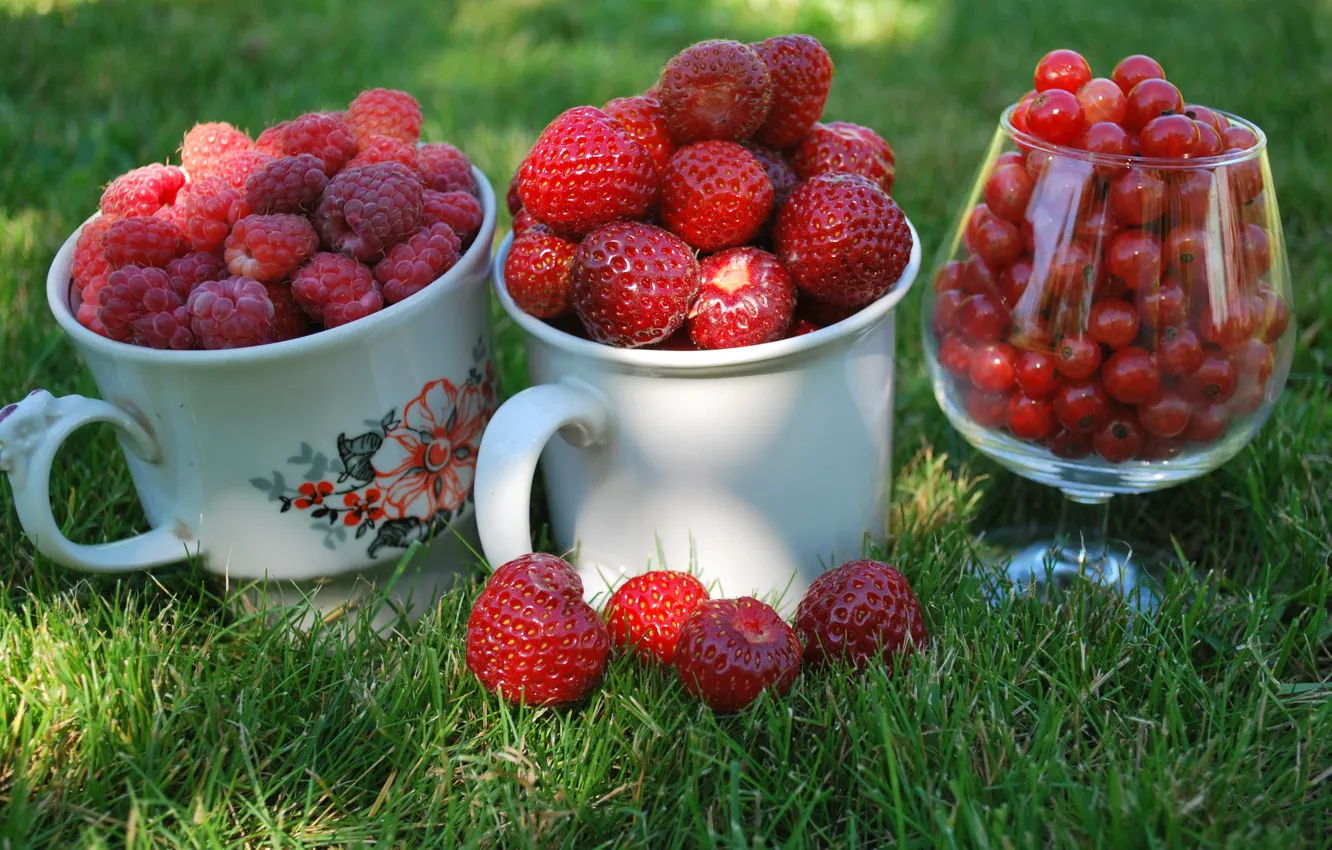 Photo wallpaper grass, macro, berries, raspberry, glass, strawberry, Cup, mugs