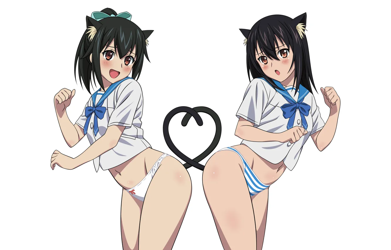 Photo wallpaper sexy, lingerie, school uniform, panties, long hair, girls, brown eyes, animal ears