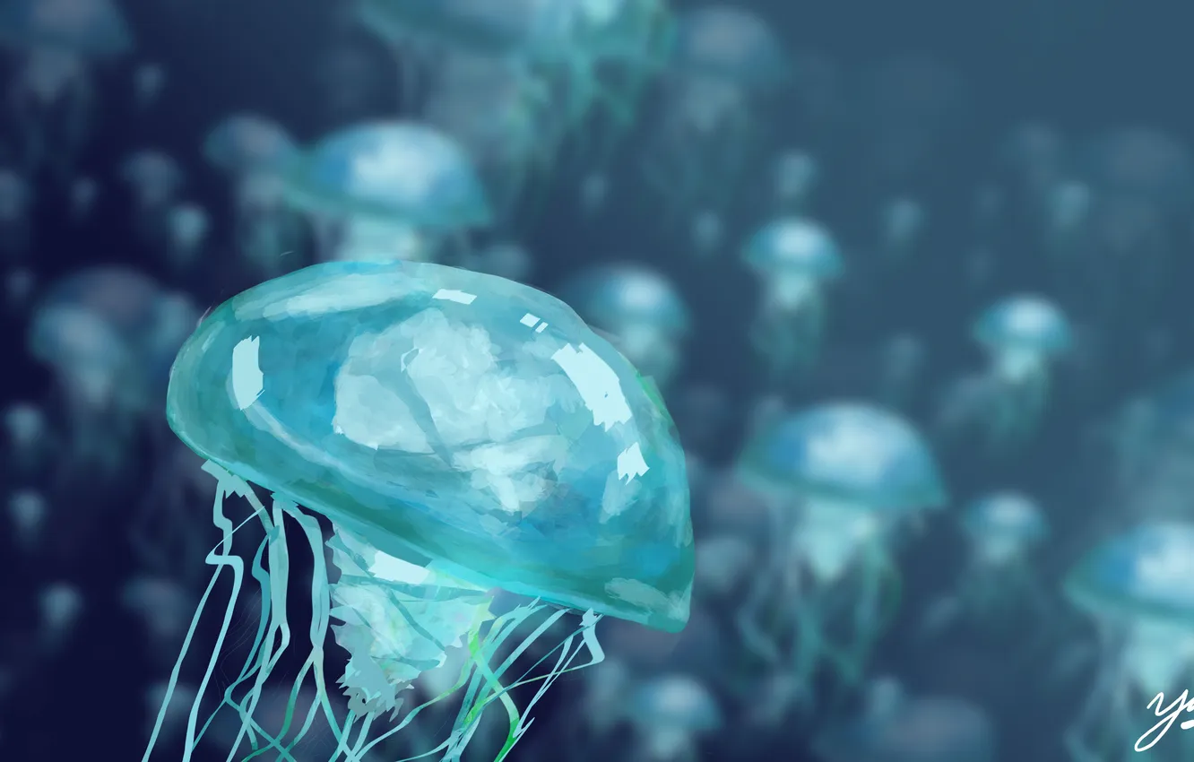 Photo wallpaper blue, art, jellyfish