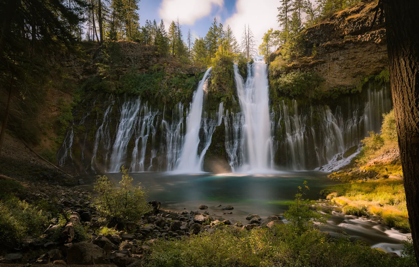 Photo wallpaper trees, river, waterfall, CA, cascade, California, Burney Falls, Burney Creek