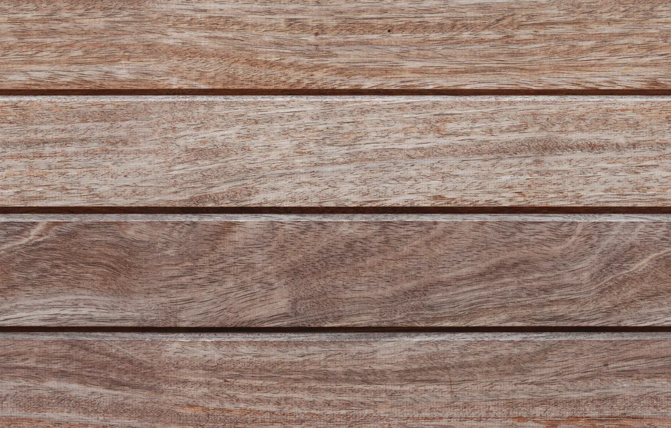 Photo wallpaper trees, background, texture, wooden background, potion