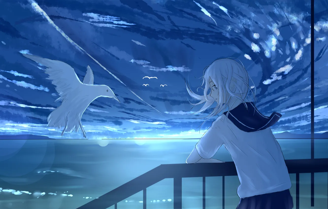 Photo wallpaper sea, girl, seagulls, the evening