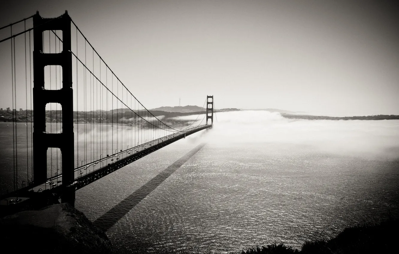 Photo wallpaper bridge, b/W, CA, Golden Gate Bridge, Into the Fog