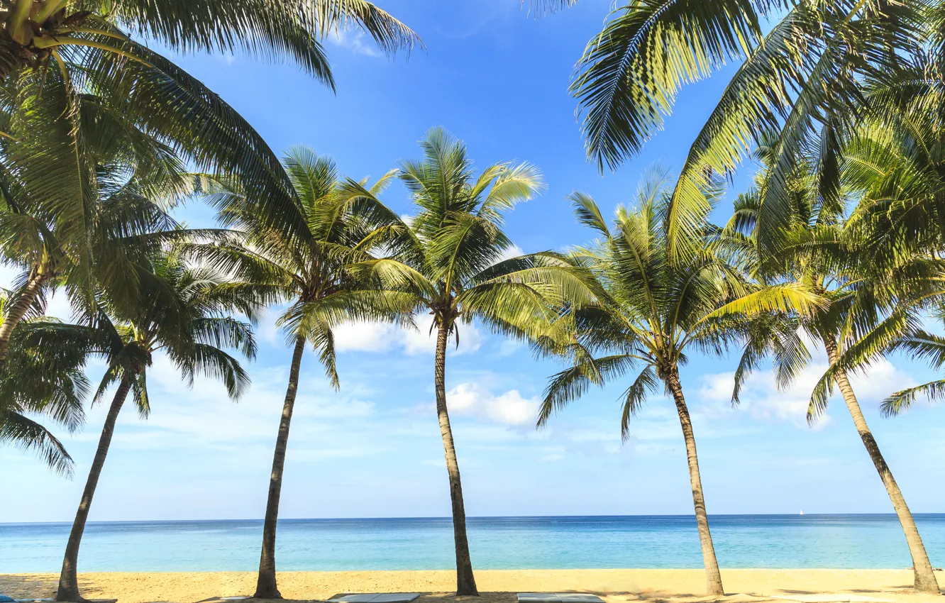 Photo wallpaper sand, sea, wave, beach, summer, the sky, palm trees, shore