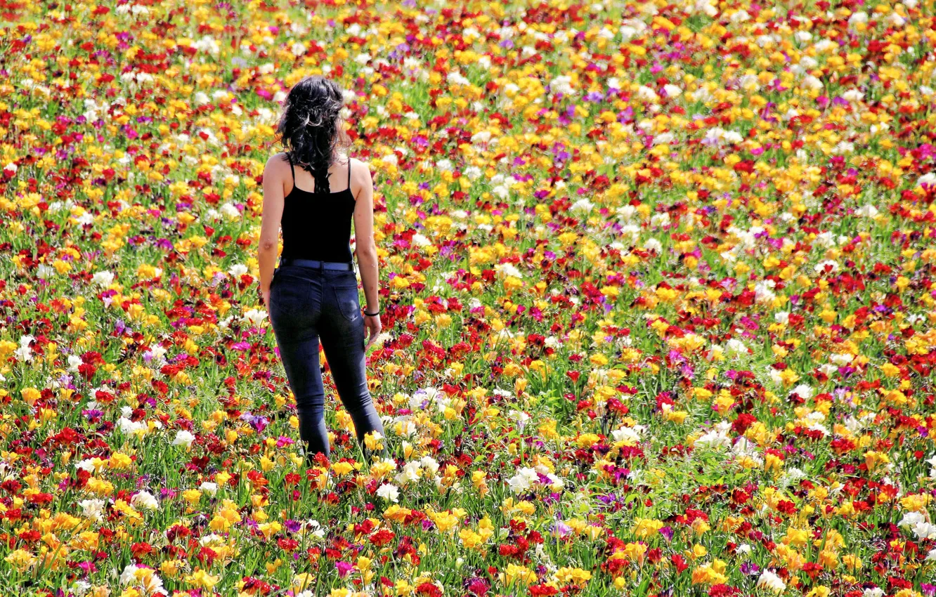 Photo wallpaper field, summer, girl, flowers