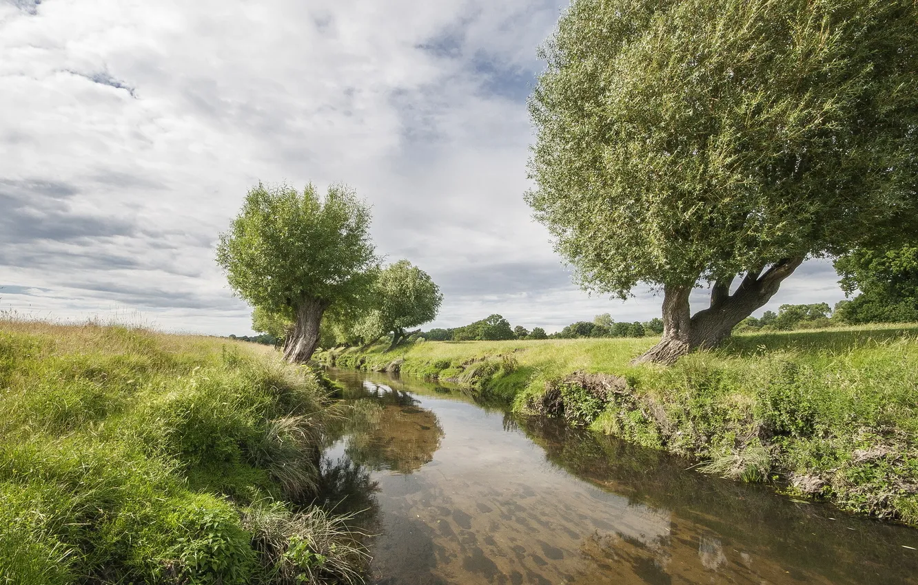 Photo wallpaper trees, nature, river