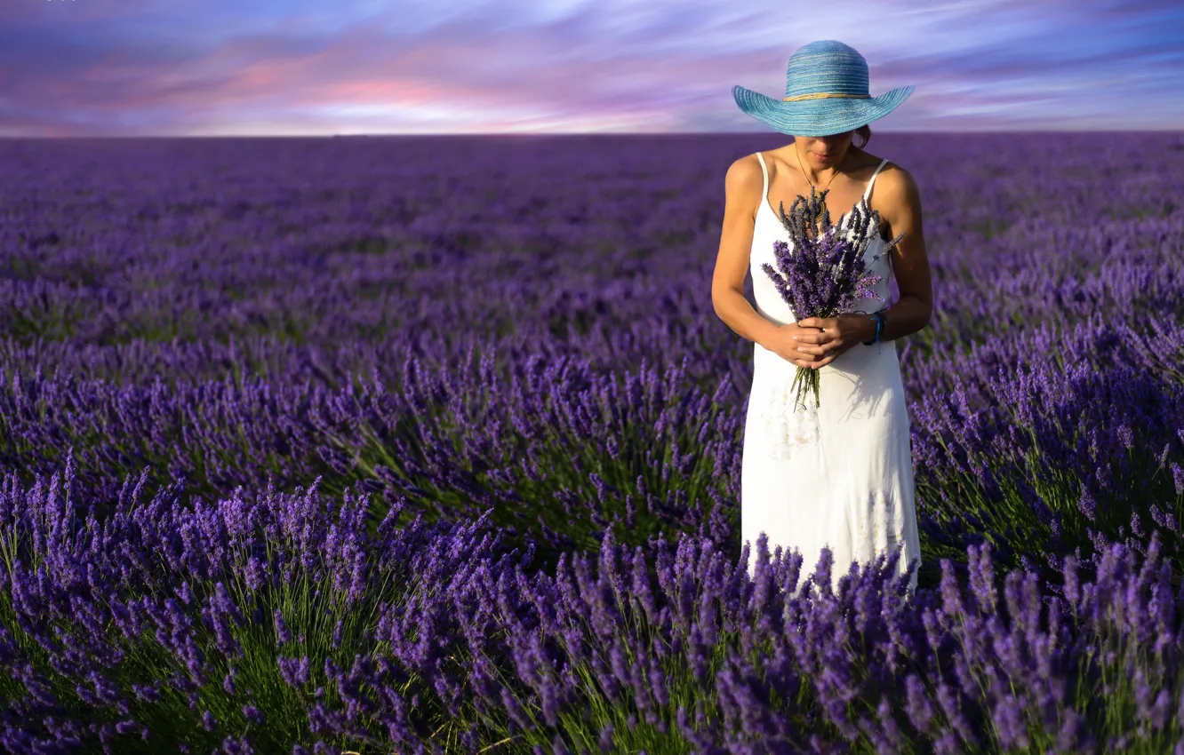 Photo wallpaper summer, girl, lavender