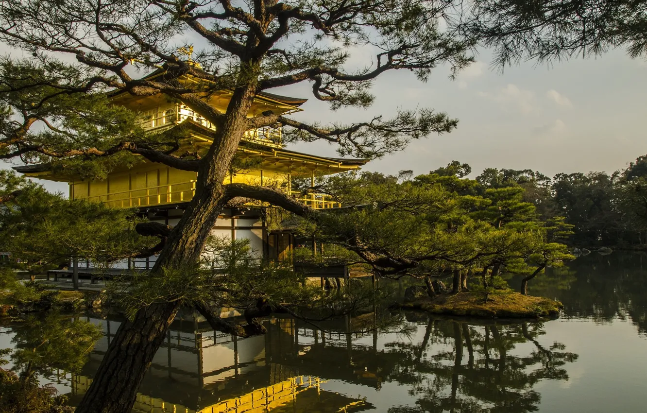 Photo wallpaper trees, lake, Park, Japan, island, Kyoto