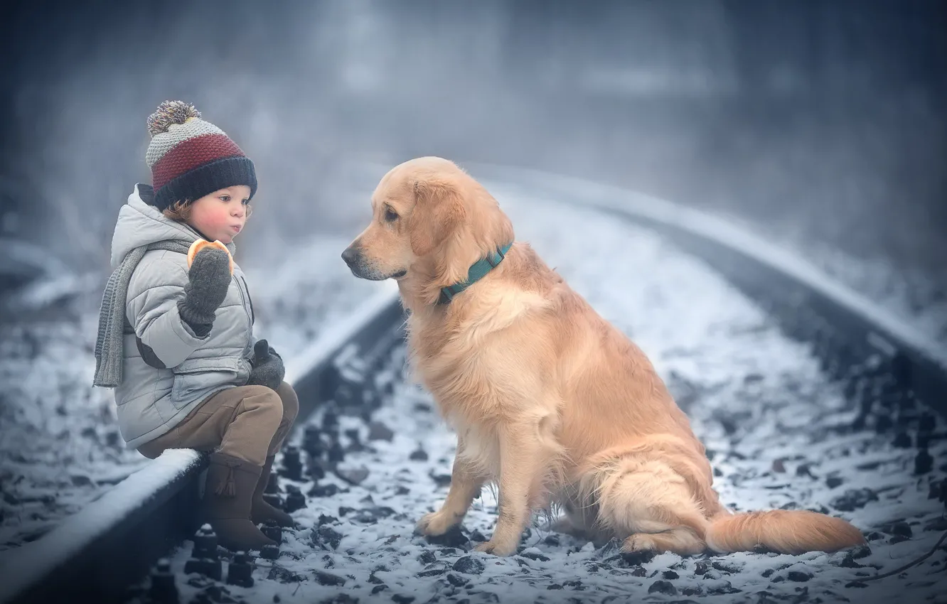 Photo wallpaper winter, snow, animal, rails, dog, child, dog, bagel