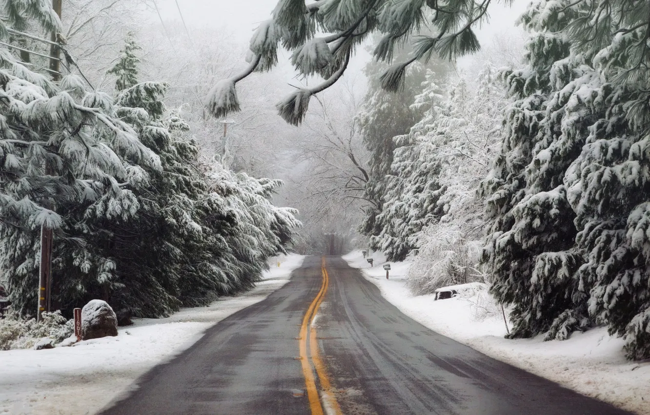 Photo wallpaper winter, road, forest, asphalt, snow, trees, landscape, nature