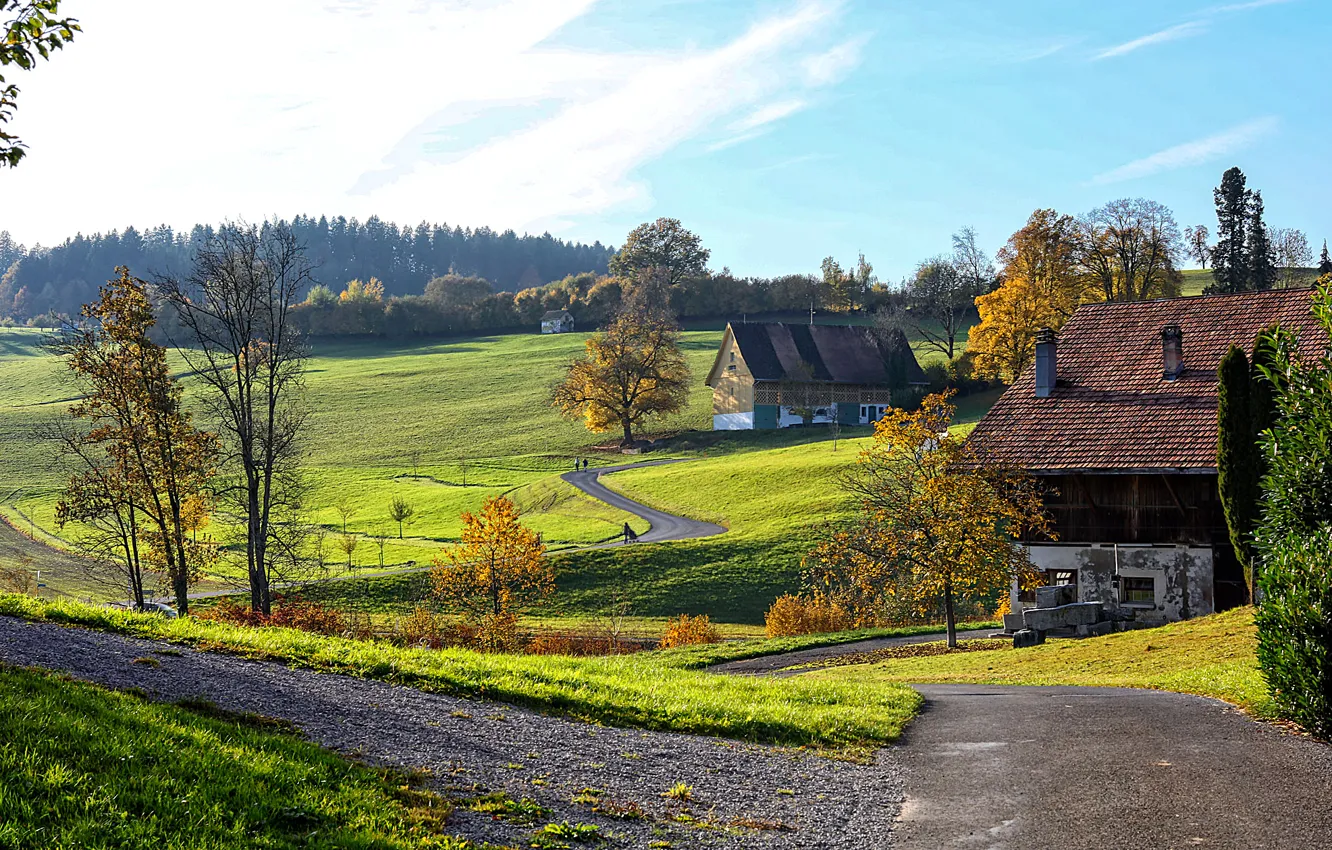 Photo wallpaper road, trees, hills, home